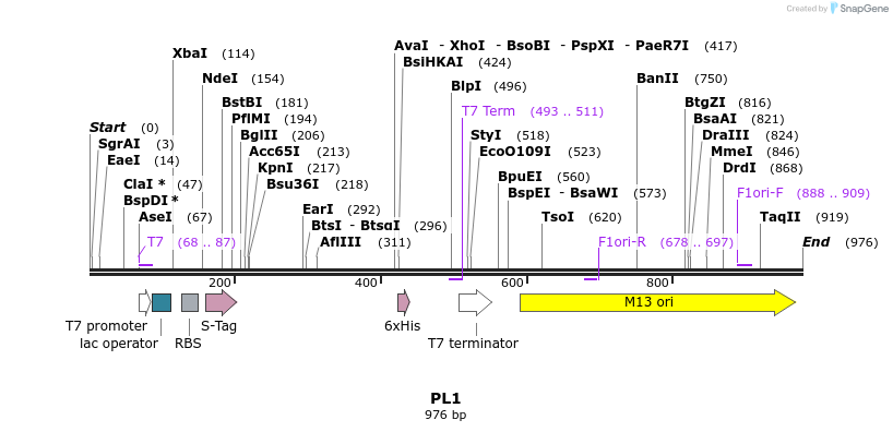 84878_map