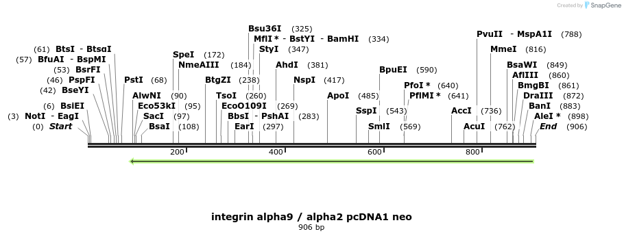 84881_map