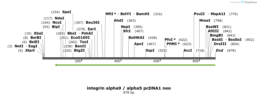 84885_map