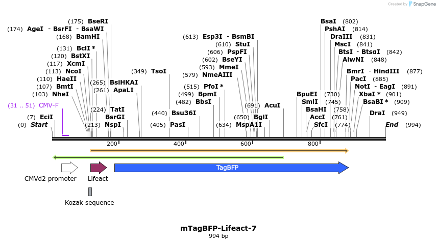 84893_map