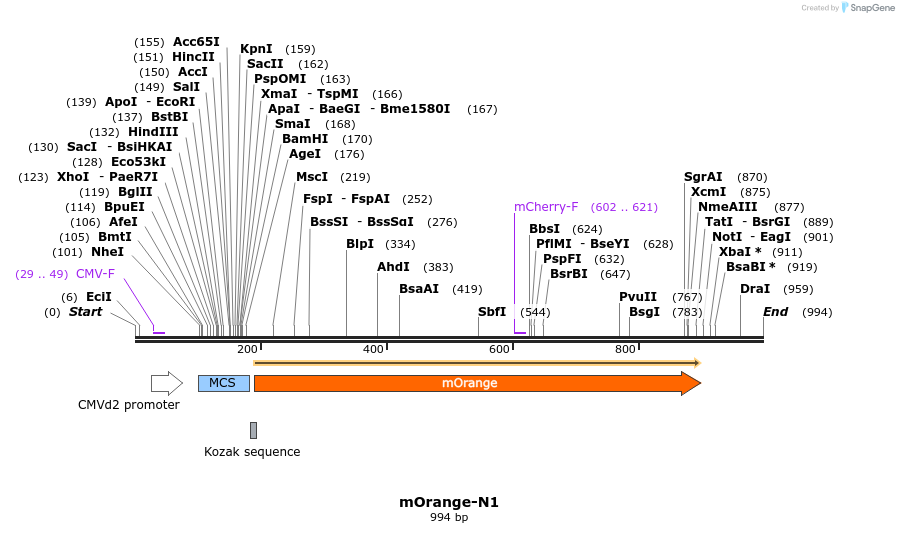 84896_map