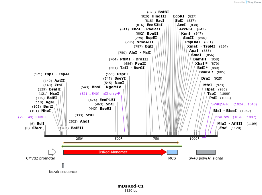 84899_map