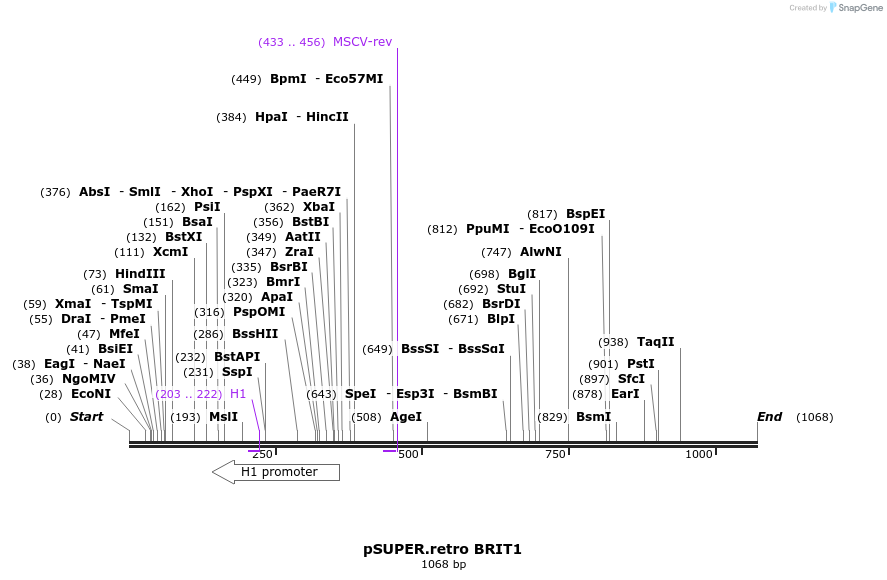 8490_map