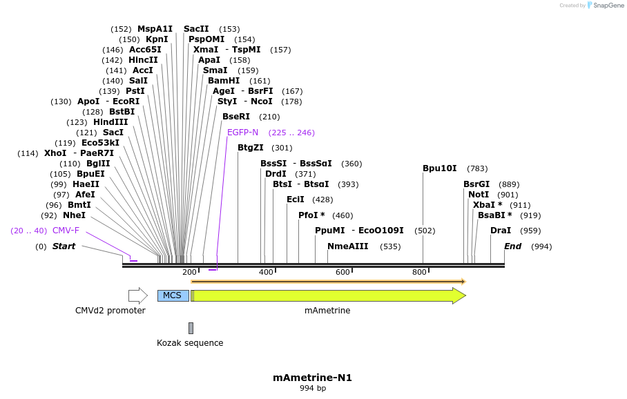 84902_map