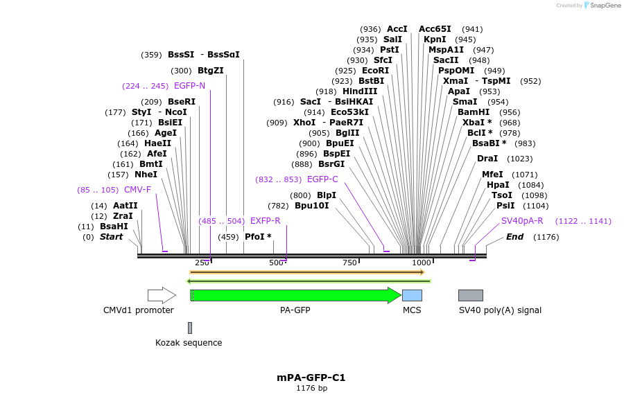 84919_map