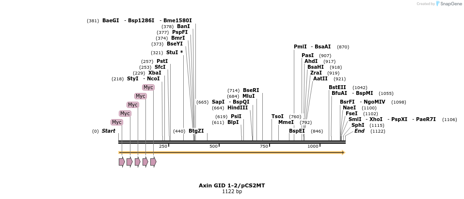 8493_map