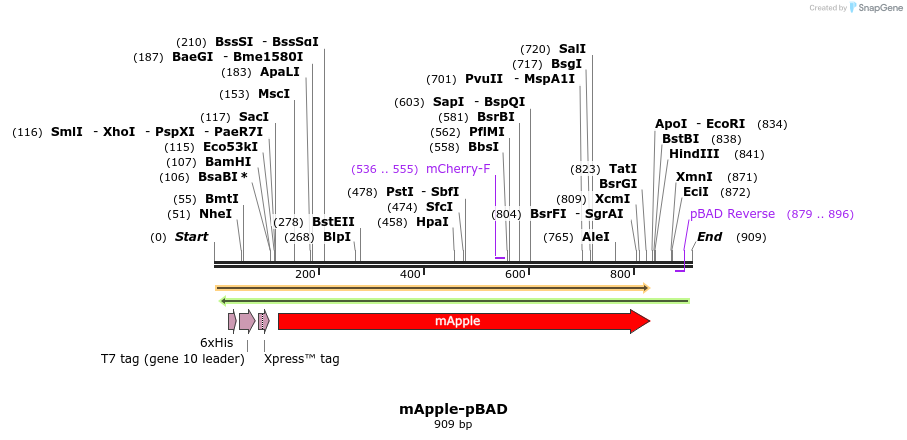 84933_map