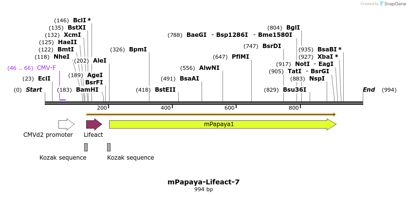 84937_map