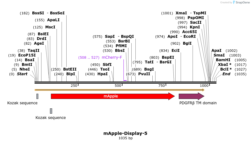 84940_map
