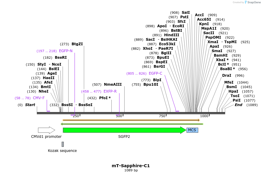 84942_map