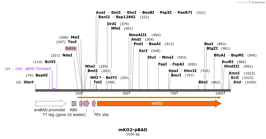 84952_map