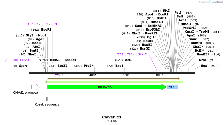 84959_map