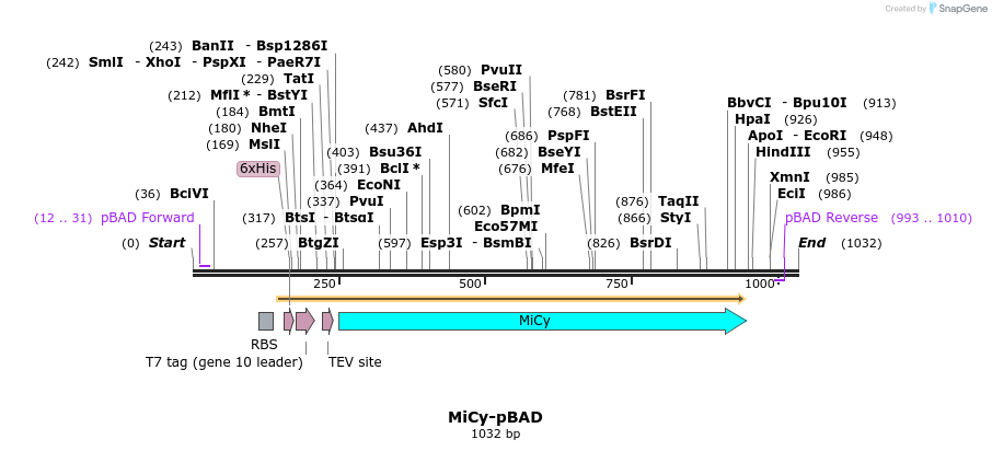 84962_map