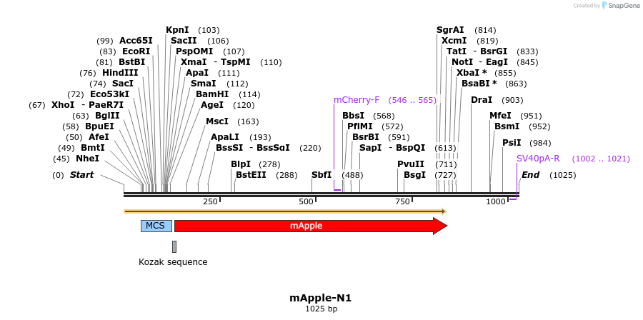 84964_map