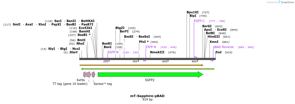 84968_map