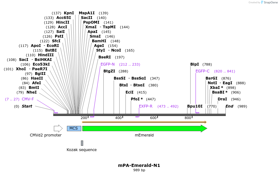 84971_map
