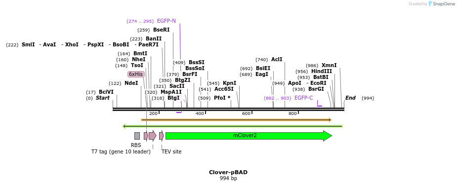 84972_map