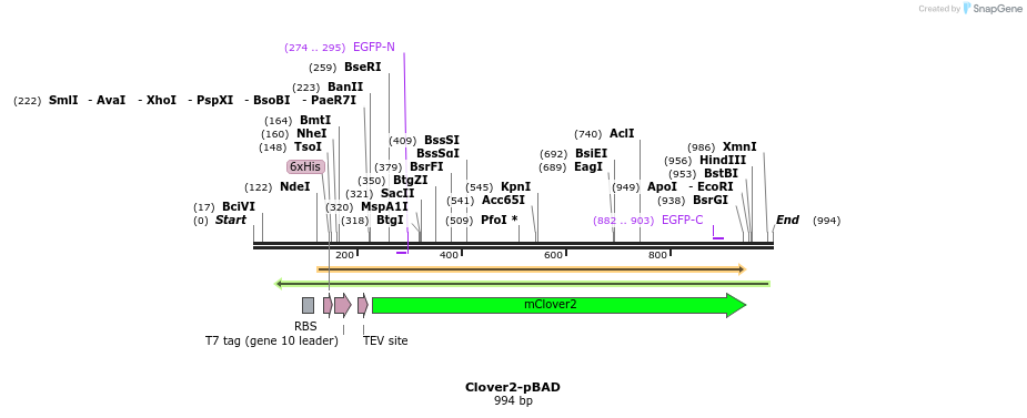 84973_map