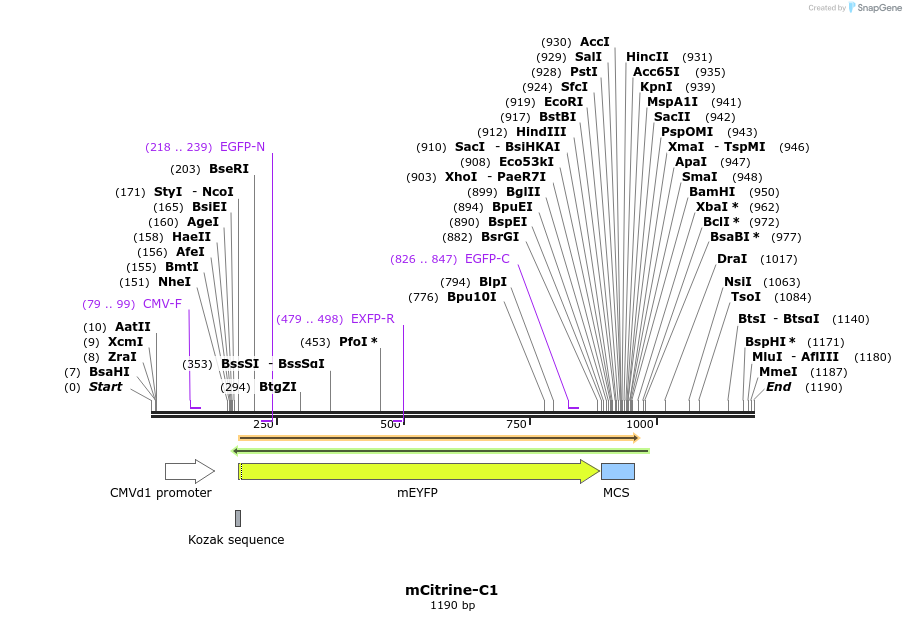 84984_map