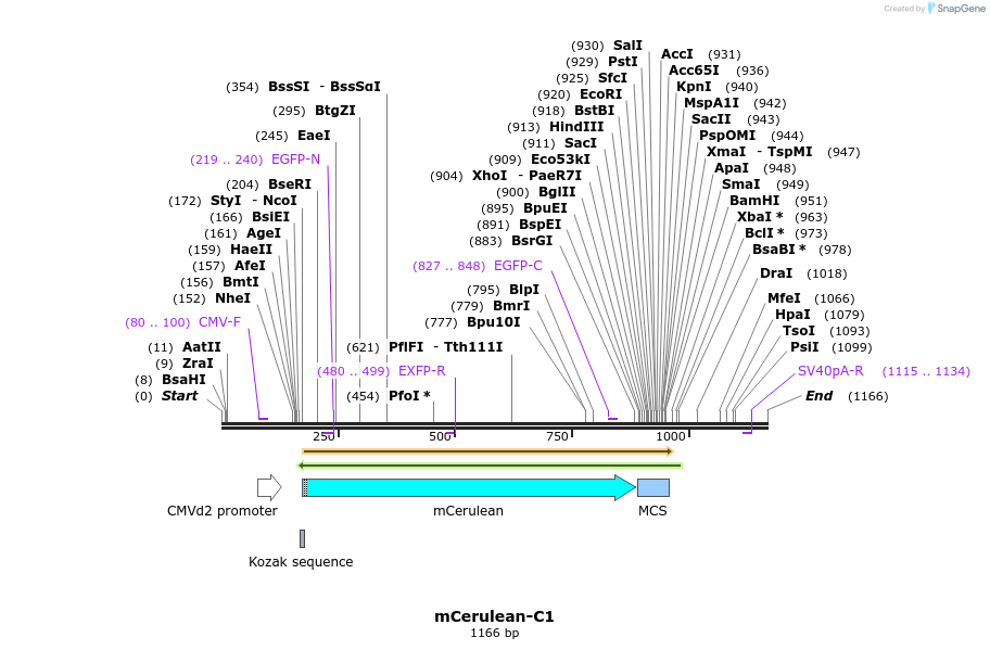 84989_map