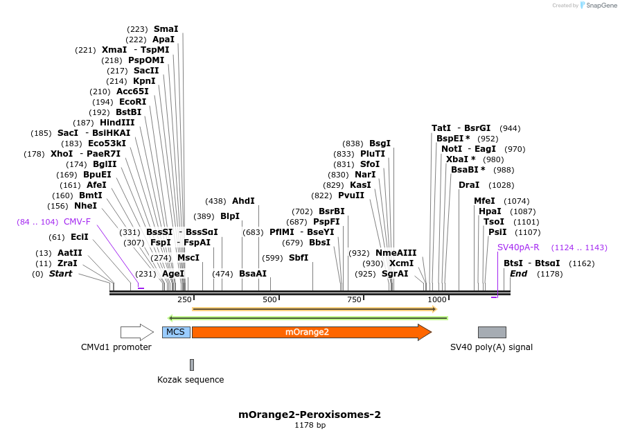 84993_map