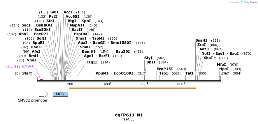 84995_map