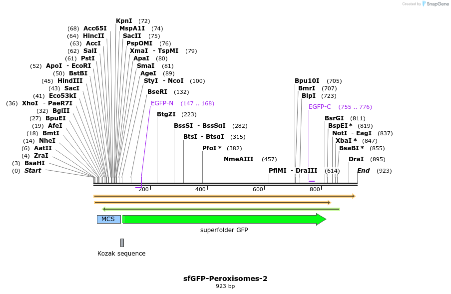 84998_map