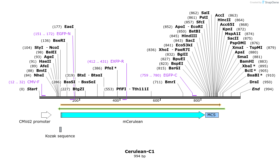 85001_map