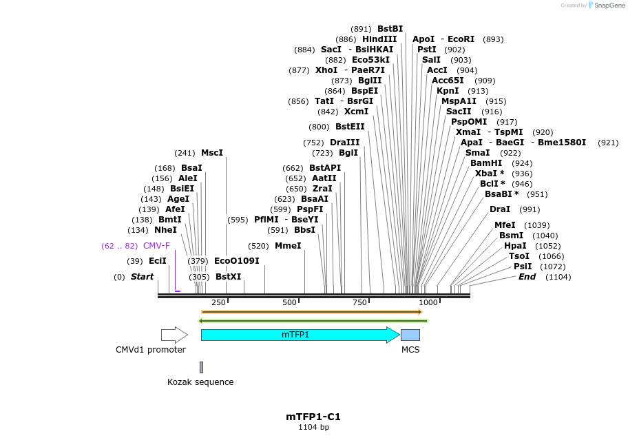 85010_map