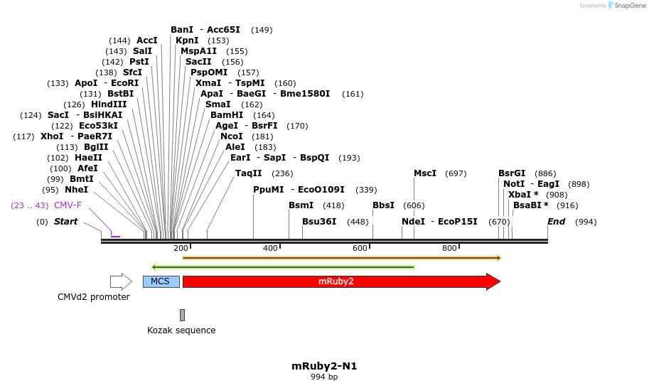 85011_map