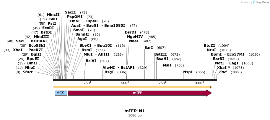 85017_map