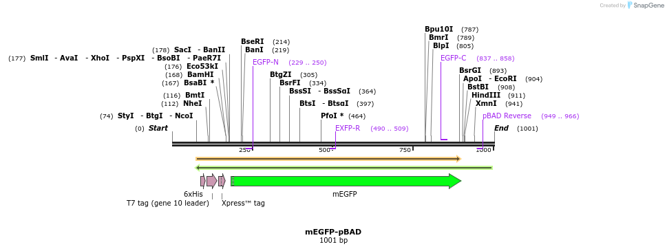 85019_map