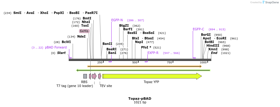85020_map