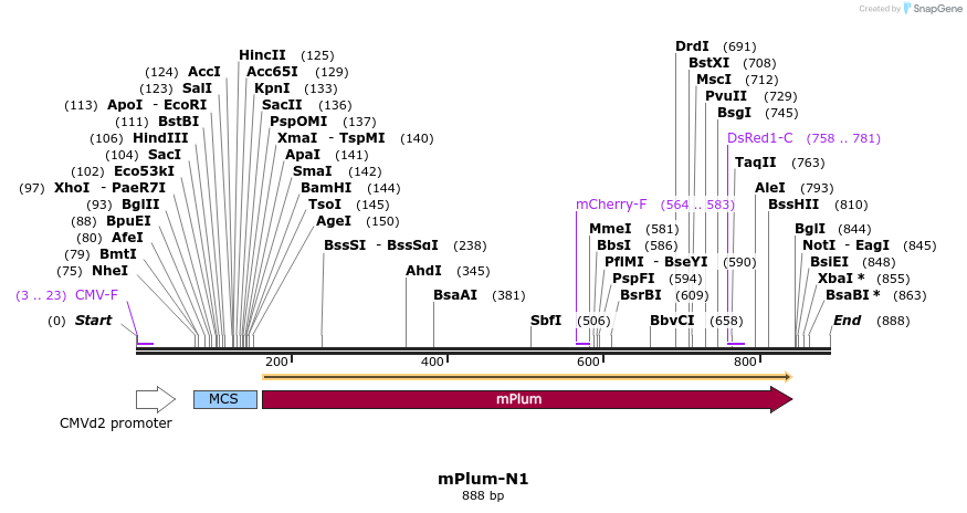 85026_map
