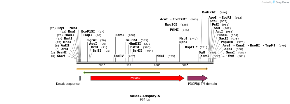 85029_map