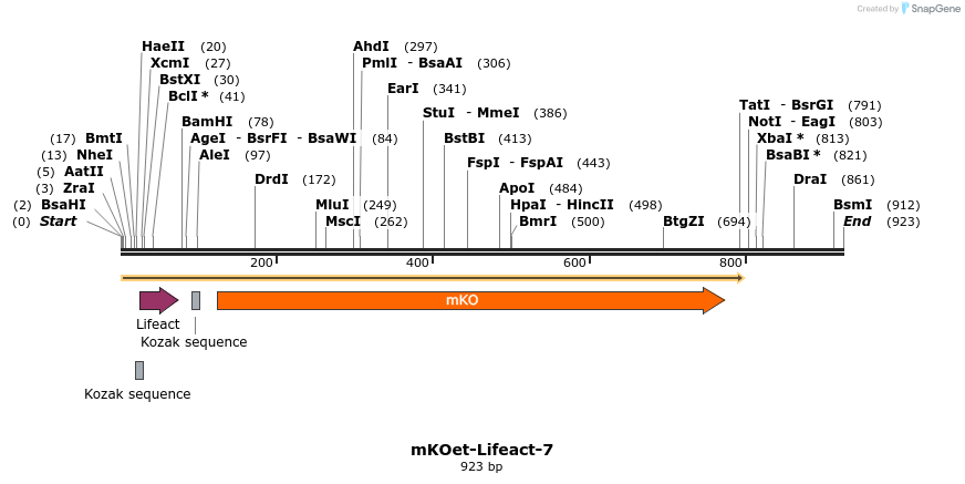 85030_map