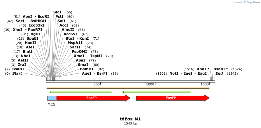 85031_map