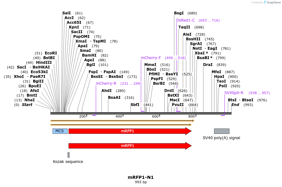 85032_map
