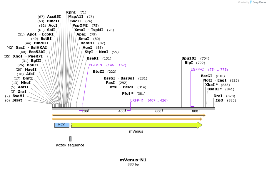85037_map
