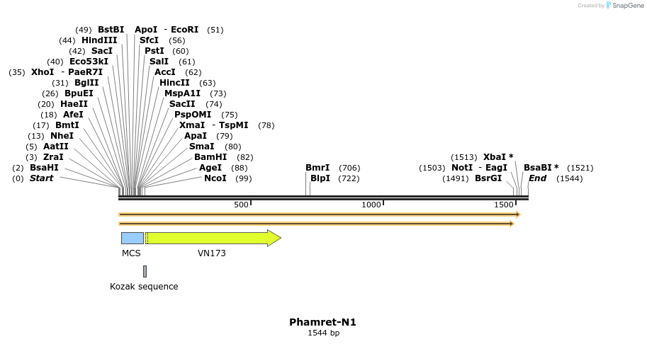 85038_map