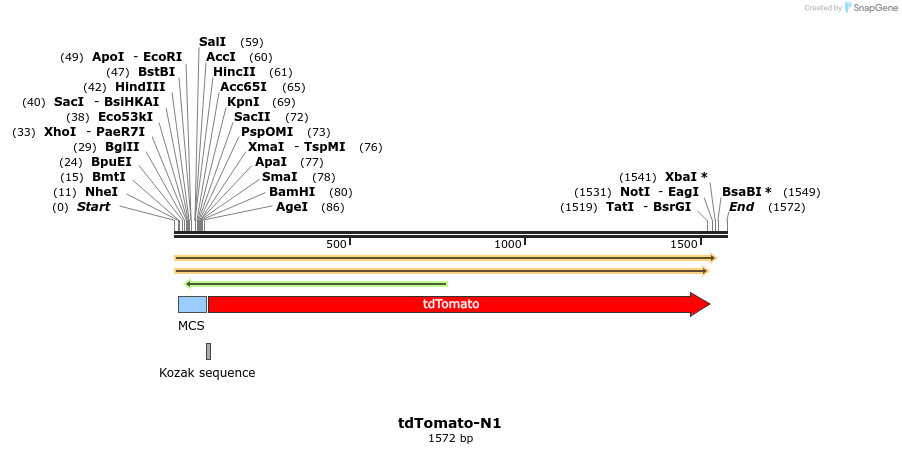 85039_map