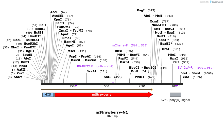 85041_map