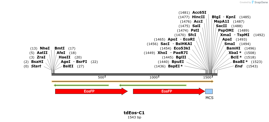 85043_map