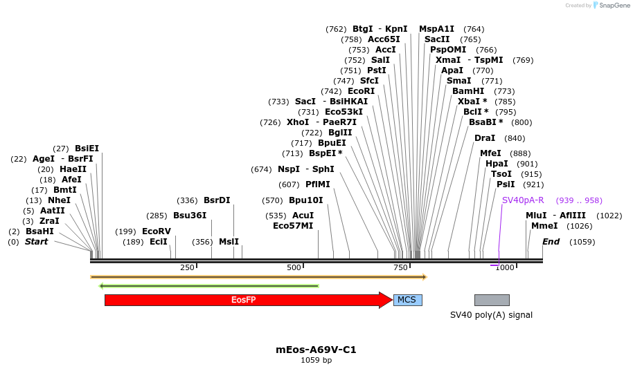 85044_map