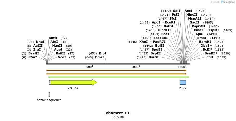 85049_map