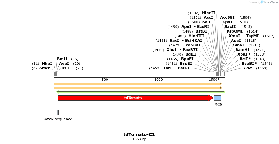 85050_map