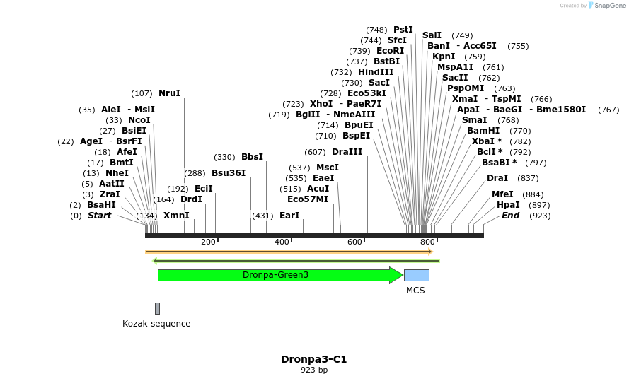 85052_map