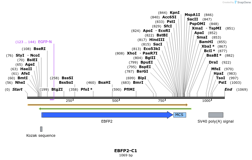 85062_map
