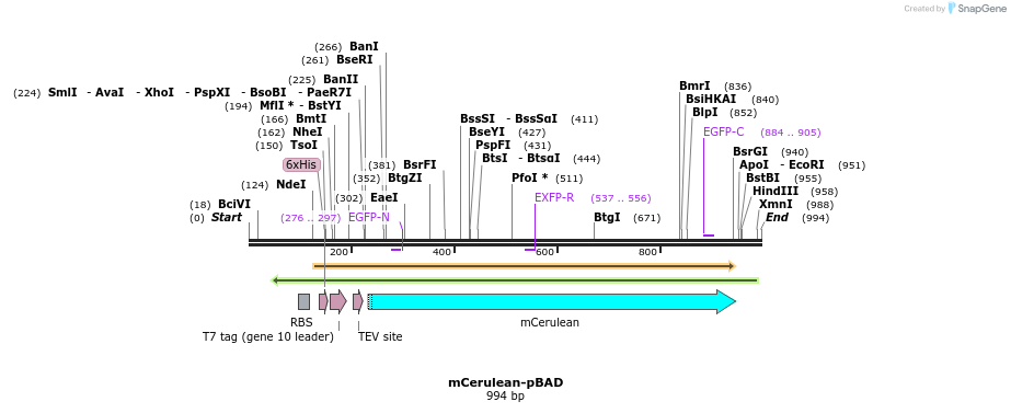 85063_map