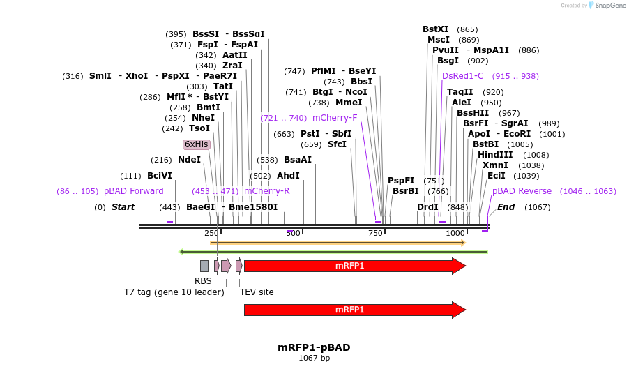 85064_map